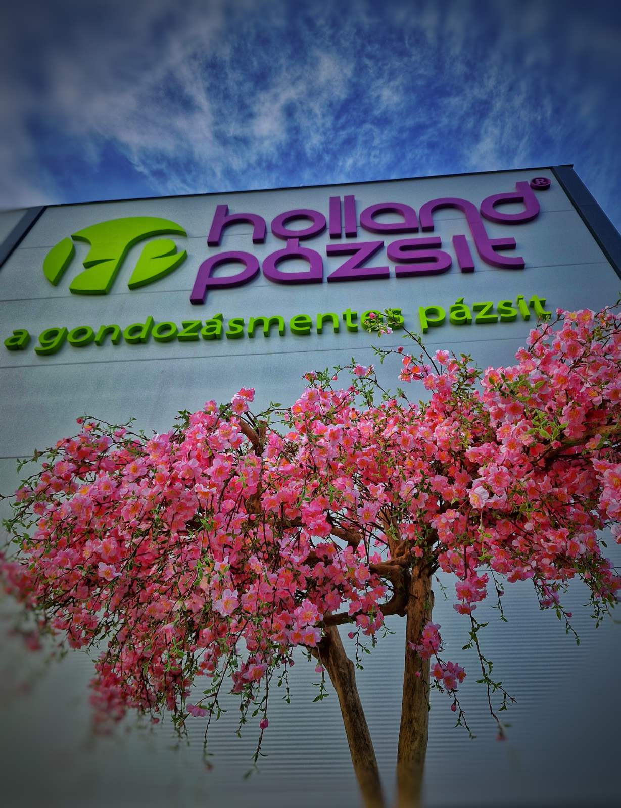 Garázsvásár a Holland Pázsit Műfű Centrumban