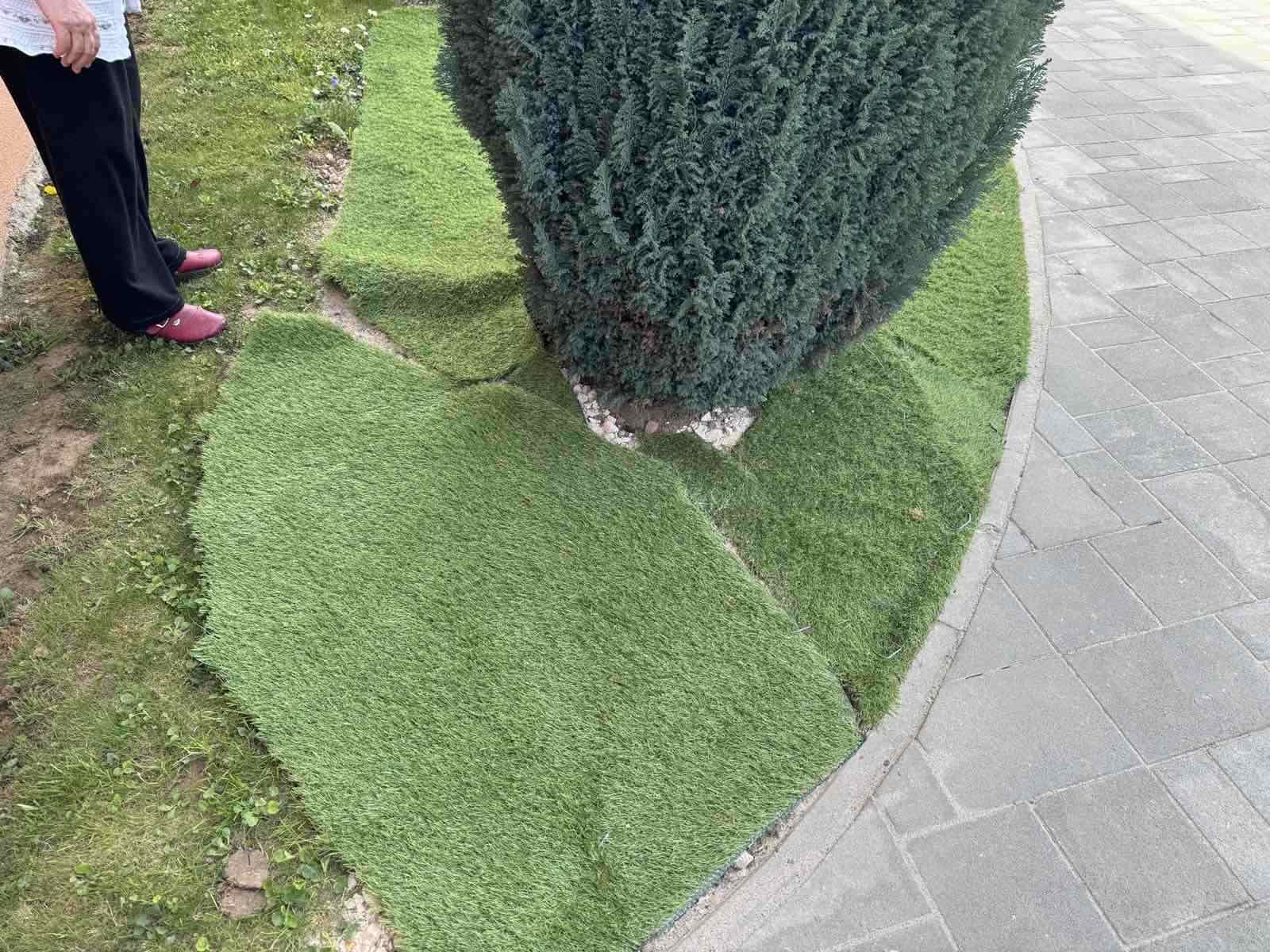 Holland pázsit®: Tényleg azt kapod, amiért fizetsz?